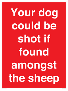 Your dog could be shot if found amongst the sheep